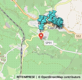 Mappa Via Paglianello, 01012 Capranica VT, Italia (0.8845)