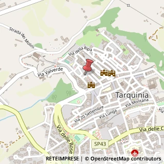 Mappa Via del Duomo, 10, 01016 Tarquinia, Viterbo (Lazio)
