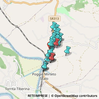 Mappa SS 313, 02047 Poggio Mirteto RI, Italia (0.5)
