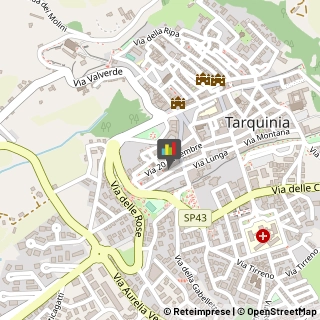 Fisiokinesiterapia - Medici Specialisti Tarquinia,01016Viterbo
