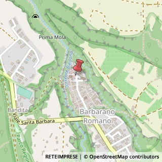 Mappa Piazza del Castello, 8, 01010 Blera, Viterbo (Lazio)