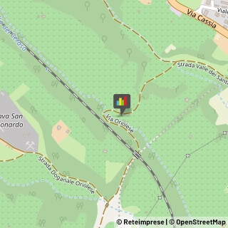 Caminetti, Barbecues e Forni da Giardino Capranica,01012Viterbo