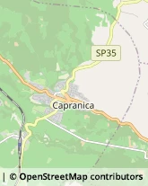 Aziende Agricole Capranica,01012Viterbo