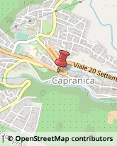 Viale Nardini, 11,01012Capranica