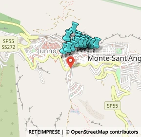 Mappa Calle Sant'Enrico, 71037 Monte Sant'angelo FG, Italia (0.298)