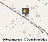 Aziende Agricole,00041Roma