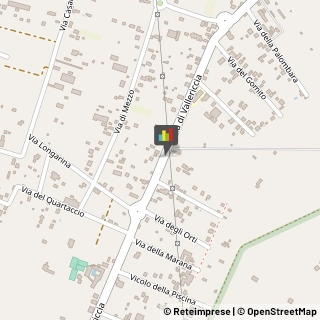 Autofficine e Centri Assistenza,00040Roma