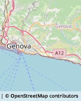 Mercerie Genova,16100Genova