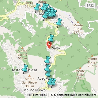 Mappa Via Romana, 16036 Uscio GE, Italia (1.3365)