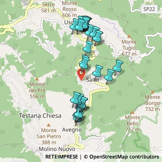 Mappa Via Romana, 16036 Uscio GE, Italia (0.97963)