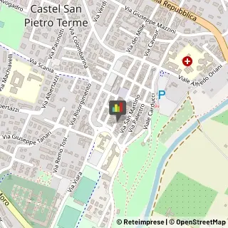 Piante e Fiori - Dettaglio Castel San Pietro Terme,40024Bologna