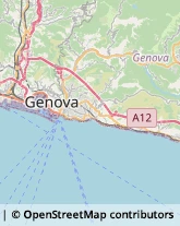 Articoli Sportivi - Dettaglio Genova,16167Genova