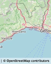 Articoli per Ortopedia Genova,16155Genova