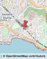 Via Redipuglia, 1,16147Genova