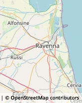 Frutta e Verdura - Dettaglio Russi,48026Ravenna