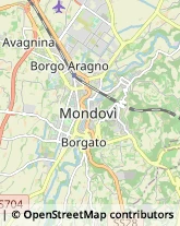 Geometri Mondovì,12084Cuneo