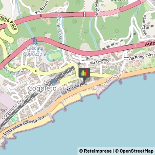 Abbigliamento Cogoleto,16016Genova
