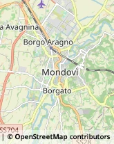 Psicologi Mondovì,12084Cuneo