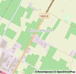 Mappa Via Bicocchino, 40026 Imola BO, Italia (0.62692)