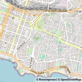 Mappa 16145