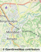 Aziende Agricole Mondovì,12084Cuneo