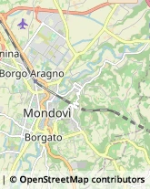 Alimentari Mondovì,12084Cuneo