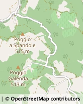 Artigianato Tipico Radda in Chianti,53017Siena