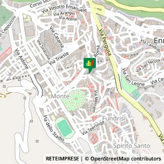 Via Camiolo, 38,94100Enna