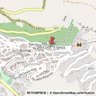 Mappa Viale Paolo e Caterina Savoca, 316, 94100 Assoro, Enna (Sicilia)