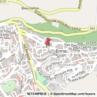 Mappa Via San Giuseppe,  21, 94100 Enna, Enna (Sicilia)