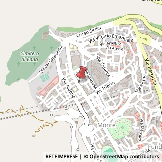 Mappa Viale Armando Diaz, 54, 94100 Enna, Enna (Sicilia)
