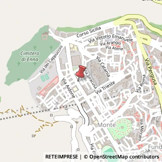 Mappa Viale Armando Diaz, 60, 94100 Enna, Enna (Sicilia)