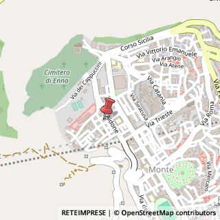 Mappa Viale della Provincia, 40, 94100 Enna, Enna (Sicilia)