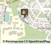 Consulenza di Direzione ed Organizzazione Aziendale San Pietro Clarenza,95030Catania