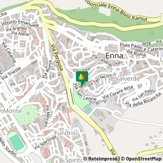 Via San Leone, 169,94100Enna