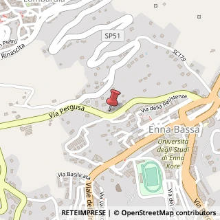 Mappa Via Pergusa, 227, 94100 Assoro, Enna (Sicilia)