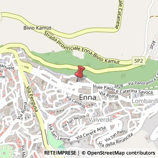Mappa Piazza Giuseppe Garibaldi, 1, 94100 Enna, Enna (Sicilia)