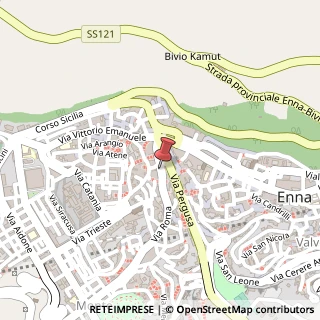 Mappa Via Roma, 255, 94100 Enna, Enna (Sicilia)