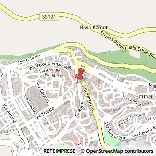 Mappa Via Roma,  257, 94100 Enna, Enna (Sicilia)