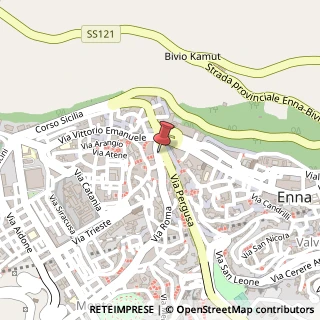 Mappa Via Roma, 274, 94100 Enna, Enna (Sicilia)