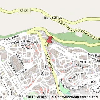 Mappa Via Roma, 316, 94100 Assoro, Enna (Sicilia)