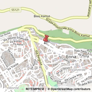 Mappa Via Roma,  298, 94100 Enna, Enna (Sicilia)