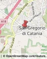 Via Umberto, 48,95027San Gregorio di Catania
