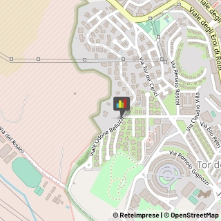 Animali Domestici - Centri Allevamento e Addestramento,00128Roma