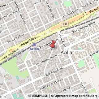 Mappa Via Francesco Ingoli, 44, 00125 Roma, Roma (Lazio)