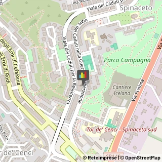 Consulenza Informatica,00128Roma