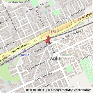 Mappa Via Angelo Zottoli, 35, 00125 Roma, Roma (Lazio)