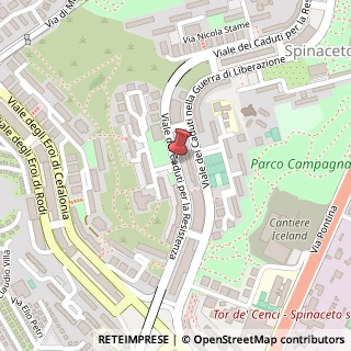Mappa Viale dei caduti per la resistenza 79, 00128 Roma, Roma (Lazio)