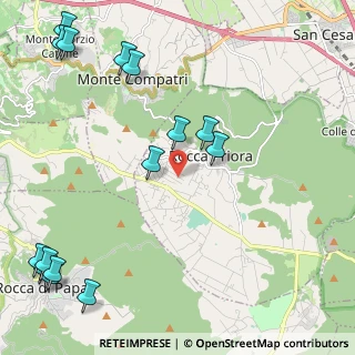 Mappa Via degli Anemoni, 00079 Rocca Priora RM, Italia (3.242)