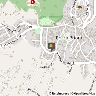 Case di Riposo e Istituti di Ricovero per Anziani Rocca Priora,00040Roma